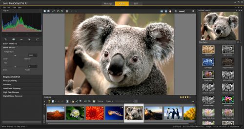 Recenze a srovnání Corel PaintShop Pro X7 a Adobe Photoshop